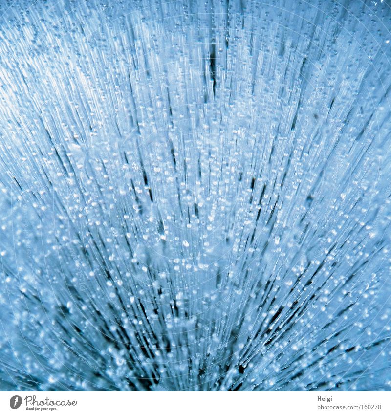 Eisbombe... Winter Frost frieren Strukturen & Formen Luft Blase Natur Muster Januar Februar kalt blau Hintergrundbild Makroaufnahme Nahaufnahme Helgi
