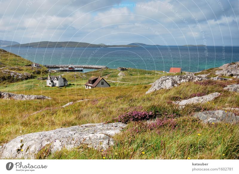 sommer auf den hebriden Natur Landschaft Pflanze Himmel Schönes Wetter Meer Insel Zufriedenheit Optimismus Warmherzigkeit Ferien & Urlaub & Reisen Schottland