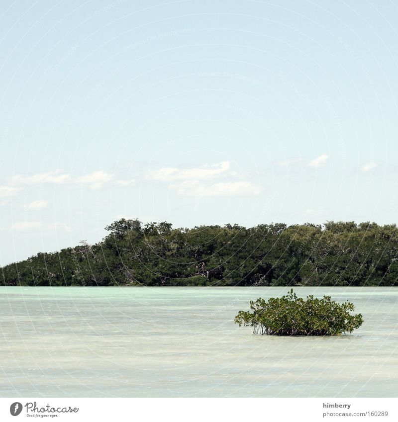 david & goliath Ferien & Urlaub & Reisen Karibisches Meer Kleine Antillen Insel Paradies Wasser Himmel Wolken Panorama (Aussicht) Tourismus Reisefotografie