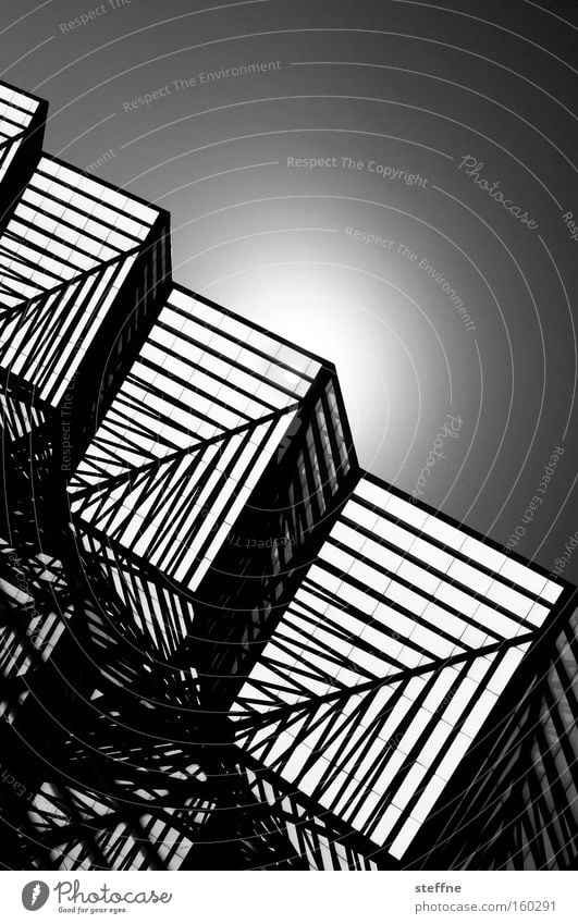 geometrix Sonne Gegenlicht Linie Strukturen & Formen Muster Geometrie schwarz weiß schick Würfel Kubismus Ecke dreidimensional Detailaufnahme räumlich