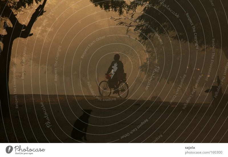 radfahrer im morgengrauen Fahrradfahren Mensch maskulin Mann Erwachsene 1 Baum Myanmar Asien Verkehr Verkehrsmittel Hund Stimmung ästhetisch Zufriedenheit