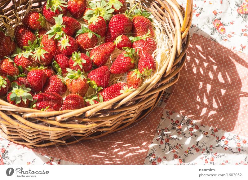 Korb mit Erdbeere Frucht Essen Diät Gesunde Ernährung Sommer Natur Pflanze Blume Blatt frisch hell klein grün rosa rot weiß Erdbeeren Feinschmecker Wahl