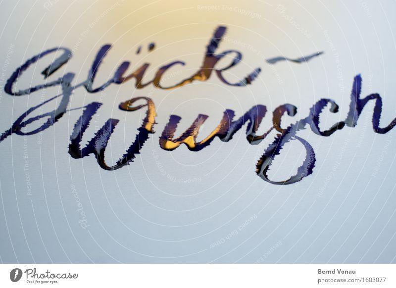 Glückwunsch Schriftzeichen Gefühle Glückwünsche Kalligraphie Handwerk nass feucht Tinte blau gold geschwungen schwungvoll handschriftlich Wunsch Information