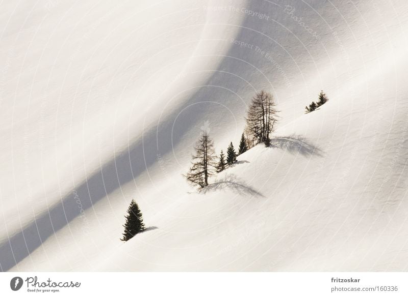 Seilschaft Berge u. Gebirge Winter Baum Steigung weiß Einsamkeit diagonal sanft Schnee