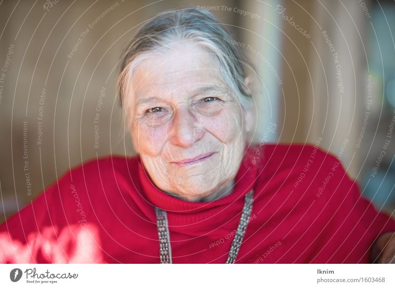 Portrait einer glücklichen Seniorin Gesundheit Leben Mensch Weiblicher Senior Frau Großmutter Gesicht 1 60 und älter alt authentisch Glück Zufriedenheit