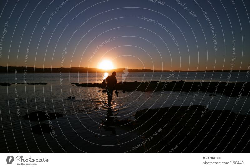 nasse Füsse Meer Sonne Australien genießen Freude Erholung Ereignisse Freiheit Abend Barfuß Horizont Känguruh Mann Sonnenuntergang