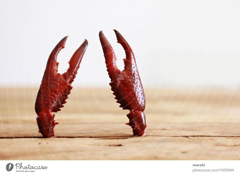 schnapper Tier Stimmung Krebs Krabbe Schere rot Idee skuril Tisch fangen Arme Farbfoto Innenaufnahme Nahaufnahme Detailaufnahme
