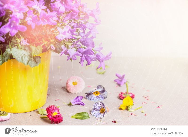 Blumentopf mit Glockenblumen Stil Design Leben Sommer Innenarchitektur Dekoration & Verzierung Tisch Natur Pflanze Blatt Blüte Blühend Duft hell