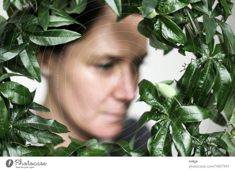Rund | Blätterrahmen Lifestyle Stil harmonisch Wohlgefühl Sinnesorgane ruhig Frau Erwachsene Gesicht 1 Mensch Pflanze Blatt Grünpflanze exotisch Kletterpflanzen