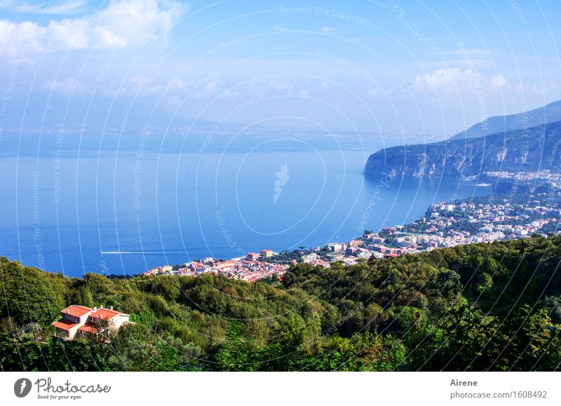 Sorrento Himmel Wald Küste Meer Bucht Sorent Italien Campania Stadt Hafenstadt hell historisch maritim schön blau grün Fernweh Erholung erleben Horizont Idylle