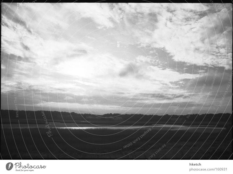 Blinded by the Light Wald Sumpf Wolken Himmel analog Maine Schwarzweißfoto USA acadia