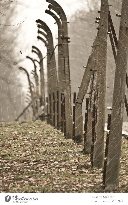 Vergessene Welt befreien Befreiung Konzentrationslager Buchenwald Angst Verfolgung Tod Mord Stacheldraht Rost Metall Metallwaren Stein Zaun Schutz Sicherheit