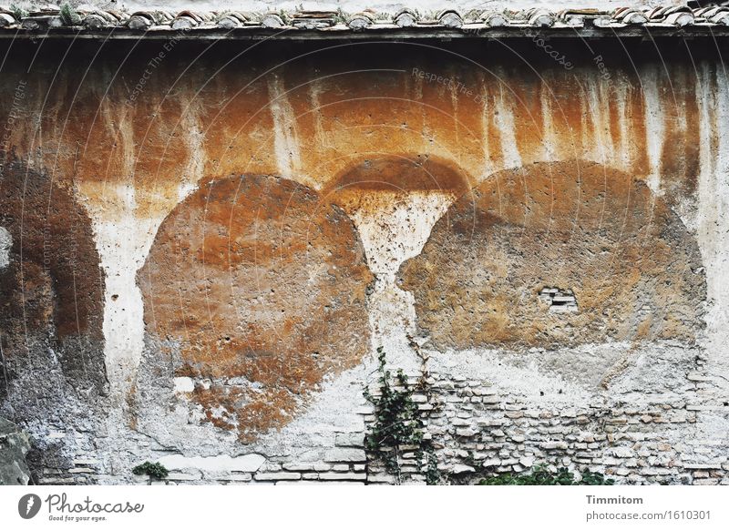 Flüsternde Mönche. Italien Gebäude Mauer Wand Dach Stein ästhetisch braun grün weiß verputzen Farbe Grünpflanze verfallen Farbfoto Außenaufnahme Menschenleer