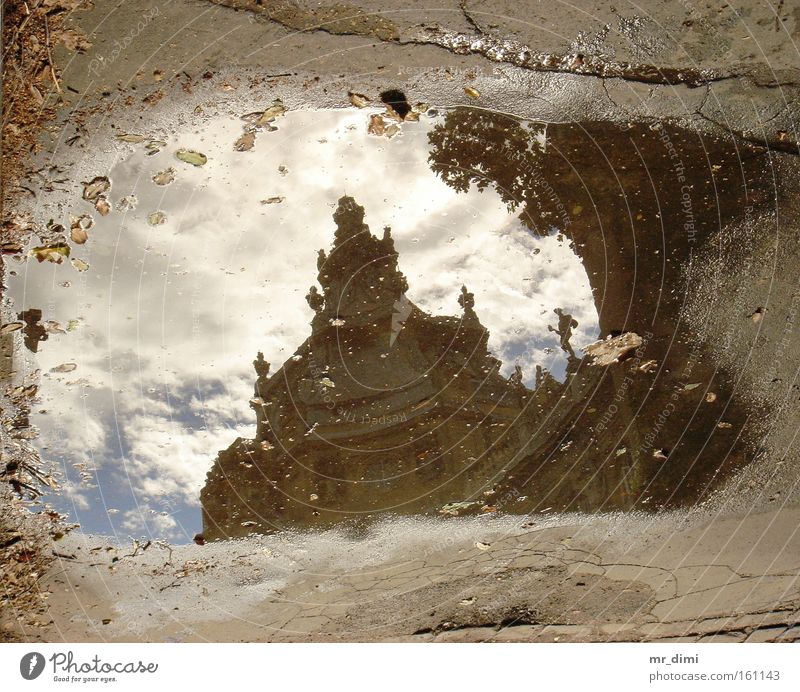 Reflexzement Reflexion & Spiegelung Museum Budapest Ungar Herbst Wasser trübes Bild im Wasser königliches Landwirtschaftsmuseum Zementbild Königlich