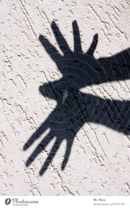 fantasy Schatten Licht Hand Finger Schattenspiel Silhouette Tier Fingerspiel Schwarzweißfoto Freude Arme Fantasygeschichte pantomine Theaterschauspiel