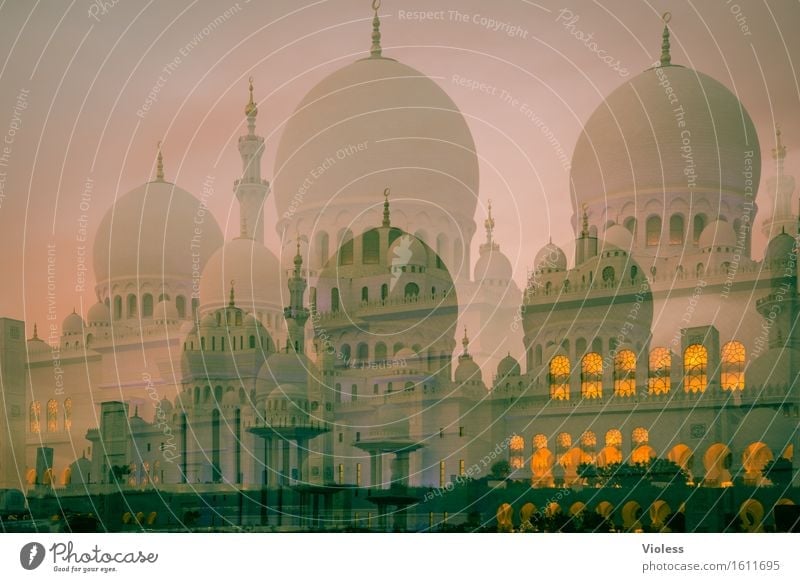 Dreamland Scheich-Zayid-Moschee Mosque Hauptstadt Bauwerk Gebäude Architektur Sehenswürdigkeit Wahrzeichen Denkmal ästhetisch außergewöhnlich historisch