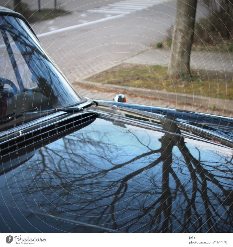 alte liebe KFZ PKW Fahrzeug Baum Reflexion & Spiegelung Spiegelbild Lack glänzend Himmel blau schwarz Straße Parkplatz Verkehrswege