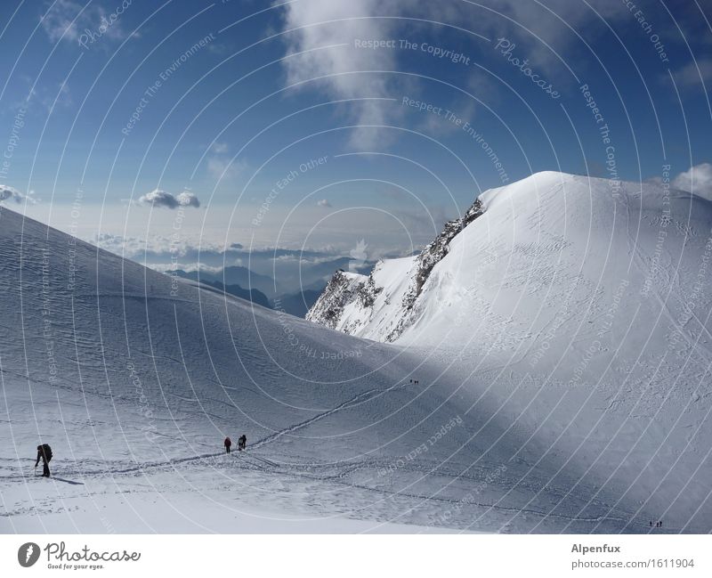 Auf und Nieder Klettern Bergsteigen Wolken Hügel Felsen Alpen Berge u. Gebirge Monte Rosa Gipfel Schneebedeckte Gipfel Gletscher laufen wandern Freude Glück