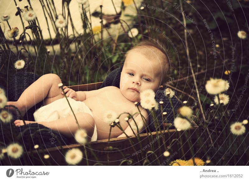 Träumerei im Grünen feminin Kind Baby Kleinkind Mädchen Kindheit 1 Mensch 0-12 Monate beobachten Blühend liegen träumen Traurigkeit verblüht Freundlichkeit