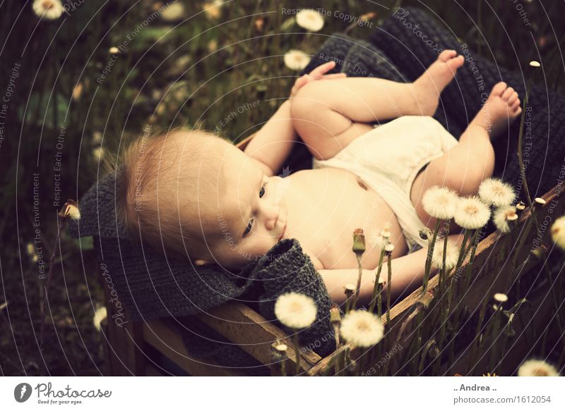 Träumerei im Grünen 2 feminin Kind Baby Kleinkind Mädchen Kindheit 1 Mensch 0-12 Monate beobachten Blühend liegen träumen Traurigkeit verblüht Freundlichkeit