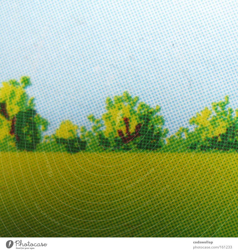 allmende Landschaft Sommer Wiese Raster Baum Feld Wäldchen Landschaftspflege Grafik u. Illustration Druck Makroaufnahme Nahaufnahme auf dem Lande