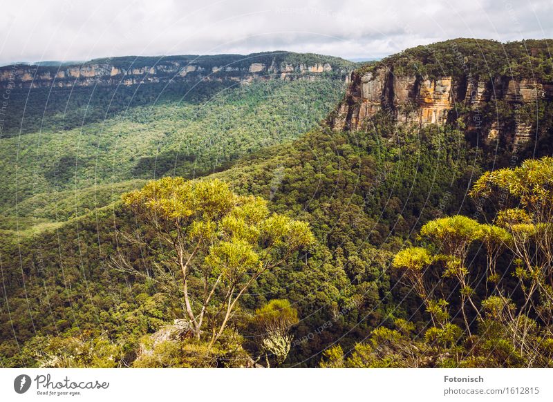 Blue Mountains in Australien Umwelt Natur Landschaft Pflanze Wolken Urwald Felsen Berge u. Gebirge Blue mountains Tourismus Farbfoto Außenaufnahme Tag Totale