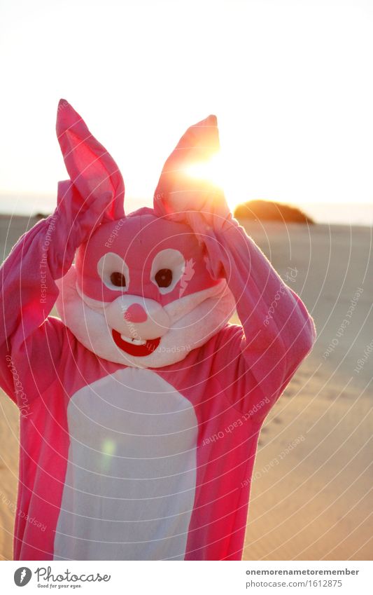 ohmannoman Kunst Kunstwerk ästhetisch Hase & Kaninchen Hasenohren Hasenpfote Sonne Ostern rosa Kostüm Freude spaßig Spaßvogel Spaßgesellschaft lustig Unsinn