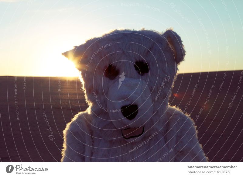 Eisbär macht Urlaub Kunst ästhetisch Profil Selfie weiß Fell Kopf Wärme heiß verirrt Irritation Farbfoto mehrfarbig Außenaufnahme Nahaufnahme Detailaufnahme