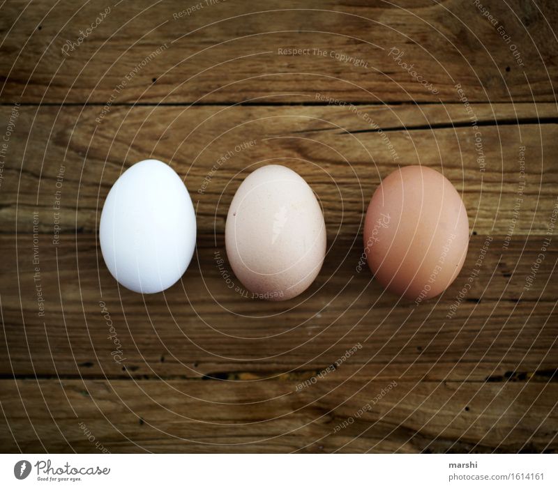 dreierlei Lebensmittel Ernährung Stimmung Ei Hühnerei 3 Eierschale Ostern Cholesterin Farbfoto Innenaufnahme Detailaufnahme