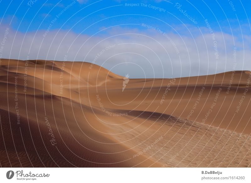 Weite Ferien & Urlaub & Reisen Tourismus Abenteuer Ferne Safari Expedition Natur Landschaft Sand Himmel Wolken Wärme Dürre Wüste heiß leer Einsamkeit Namib
