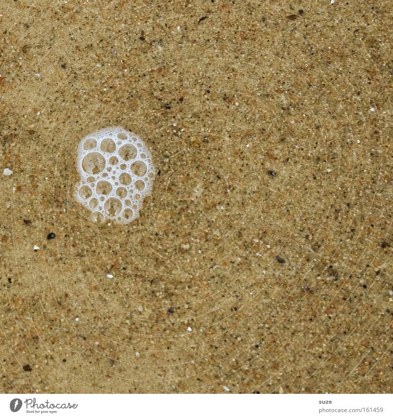 Ein Schäumchen Sand Wasser nass Schaum Blase Speichel entdecken Hintergrundbild natürlich Farbfoto Gedeckte Farben Außenaufnahme Nahaufnahme Detailaufnahme