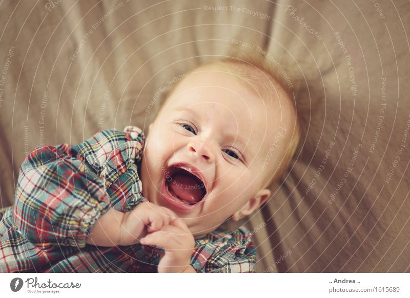 ... Glücklich ... Mensch feminin Kind Baby Kleinkind Mädchen Kindheit 1 0-12 Monate Lächeln lachen Fröhlichkeit schön braun Freude Zufriedenheit Lebensfreude