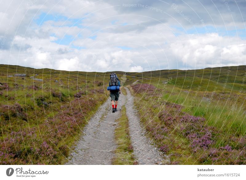 bergan Natur Landschaft Pflanze Wiese Hügel laufen wandern hoch sportlich Tapferkeit selbstbewußt Optimismus Abenteuer Schottland Heide Wege & Pfade schön