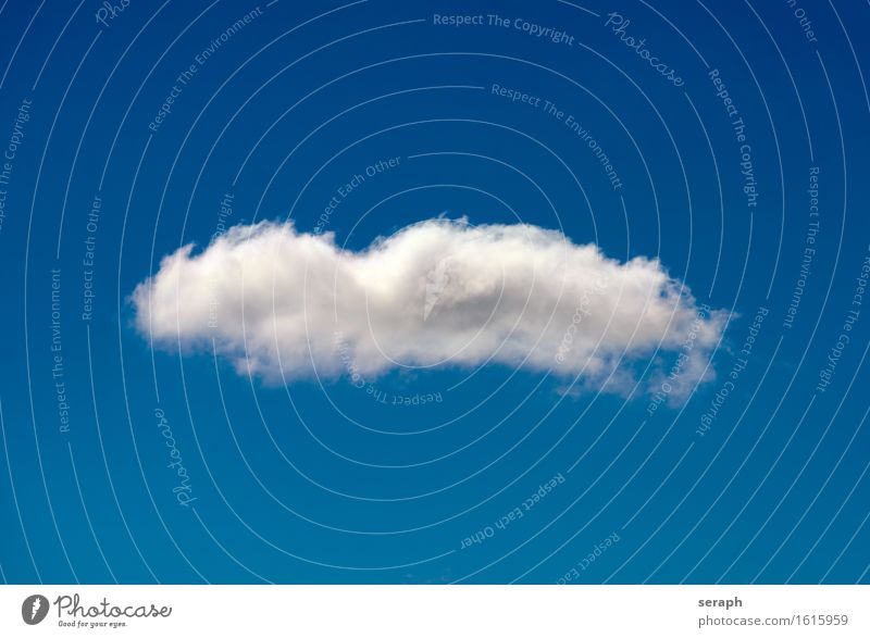 Wölkchen Wolken Kumulus Himmel Wasserdampf kondensieren Luft luftig leicht soaring aufsteigen Schweben Leichtigkeit frei fluffig Troposphäre Atmosphäre