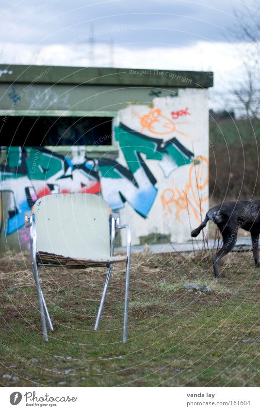 Vierbeiner Hund Urin Graffiti Schriftzeichen Stuhl Möbel Innenarchitektur Stadt Natur Bunker verfallen Haus Haustier Wandmalereien Wohnzimmer sperrmüll