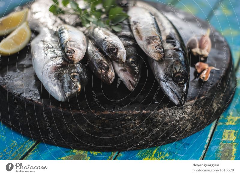 Roher Fisch. Dorade, Wolfsbarsch, Makrele und Sardinen. Meeresfrüchte Mittagessen Pfanne Koch frisch blau schwarz Zitrone roh Fett Zutaten Mahlzeit Speise
