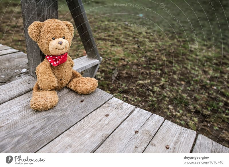 Teddybär, der auf einem Pier sitzt. Erholung Garten Baby Freundschaft Kindheit Natur Park Spielzeug Puppe Liebe sitzen niedlich retro braun grün Einsamkeit Bär