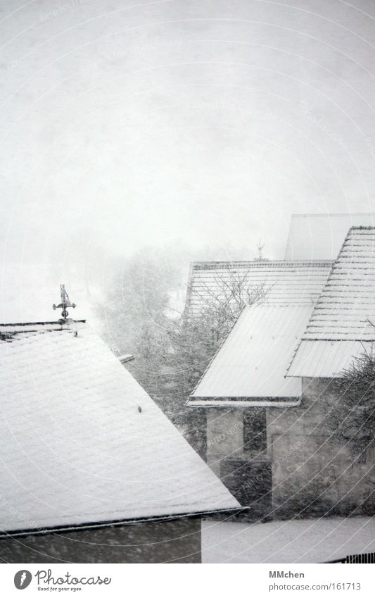 ByeBye Winterzeit Schnee Schneefall weiß kalt Frost Bauernhof Eifel Scheune Hof Dach Nebel Schneeflocke Verkehrswege Traurigkeit