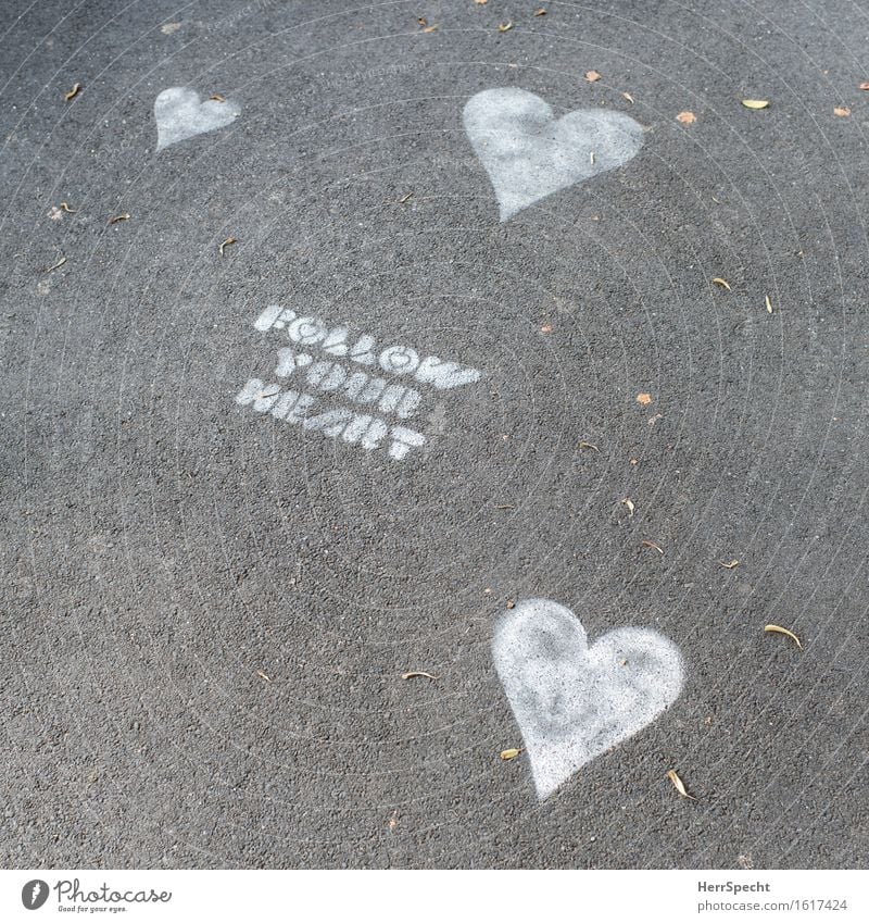 Herzwärts Straße Zeichen Schriftzeichen Kitsch grau weiß folgend Empfehlung Lebensweisheit Weisheit Gefühle Richtung richtungweisend Bürgersteig Kreide Farbe