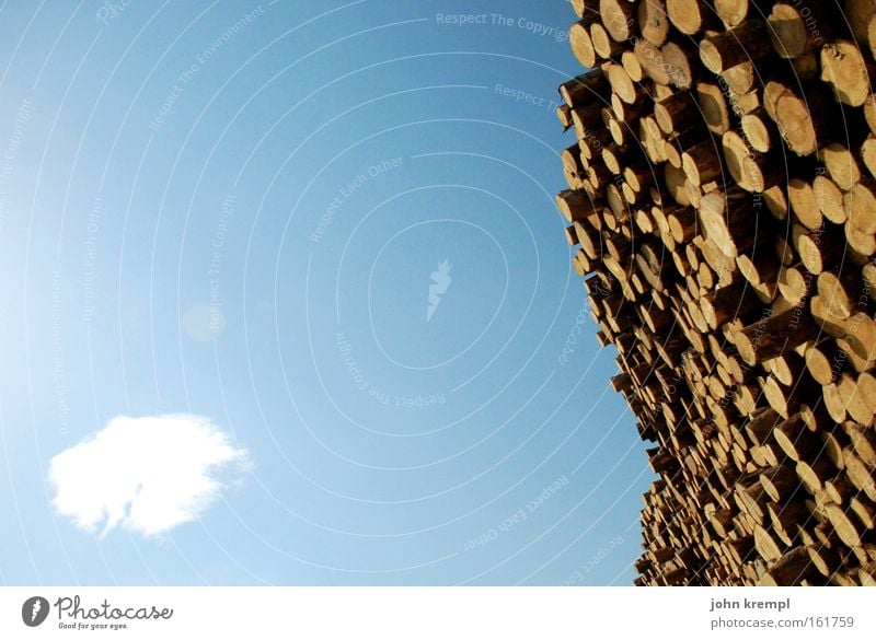 viel holz vor der hütte Holz Holzstapel Baum Baumstumpf Baumstamm Wolken Himmel blau Holzwand Forstwirtschaft Sägewerk
