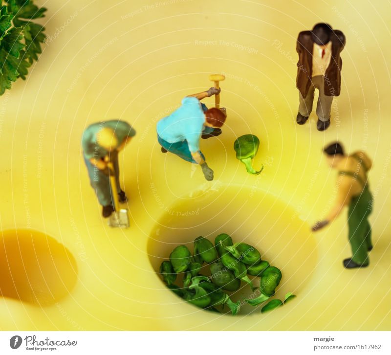 Miniwelten - Käsepflanzung Lebensmittel Bioprodukte Vegetarische Ernährung Gartenarbeit Arbeitsplatz Küche Dienstleistungsgewerbe Gastronomie maskulin Mann