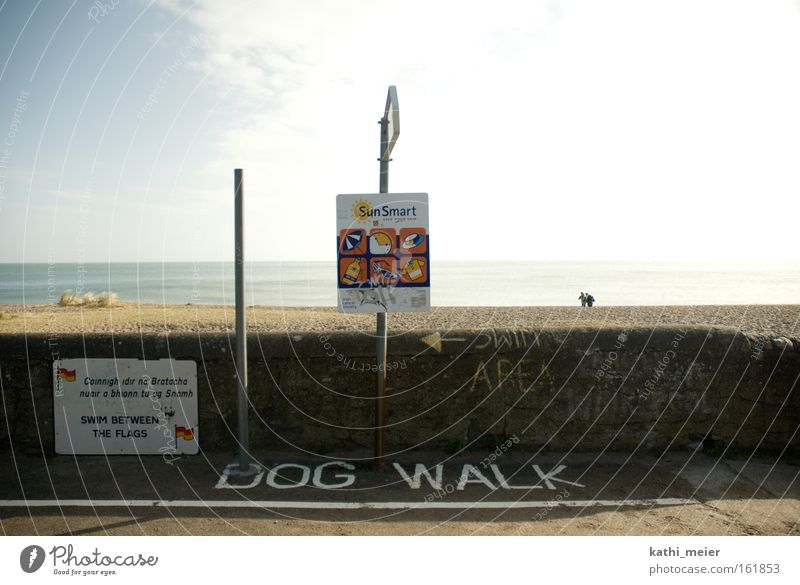 Irland im März_1 Republik Irland Strand Laufsteg Meer Küste Sonne Sommer Freude Warmherzigkeit Himmel lustig Hund Ironie