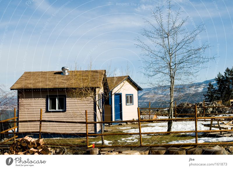 Der Frühling naht! Farbfoto Außenaufnahme Menschenleer Tag Sonnenlicht Halbprofil Traumhaus Hütte Fenster Tür Dach einzigartig