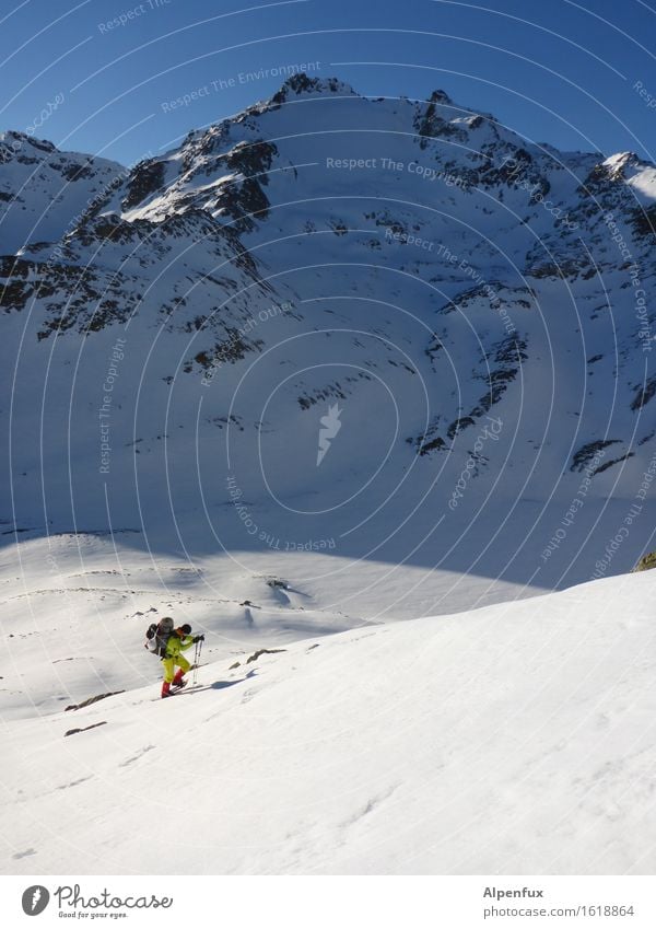 Schneeschuhwanderer Klettern Bergsteigen Winter Schönes Wetter Eis Frost Felsen Alpen Berge u. Gebirge Österreich Gipfel Schneebedeckte Gipfel Gletscher kämpfen