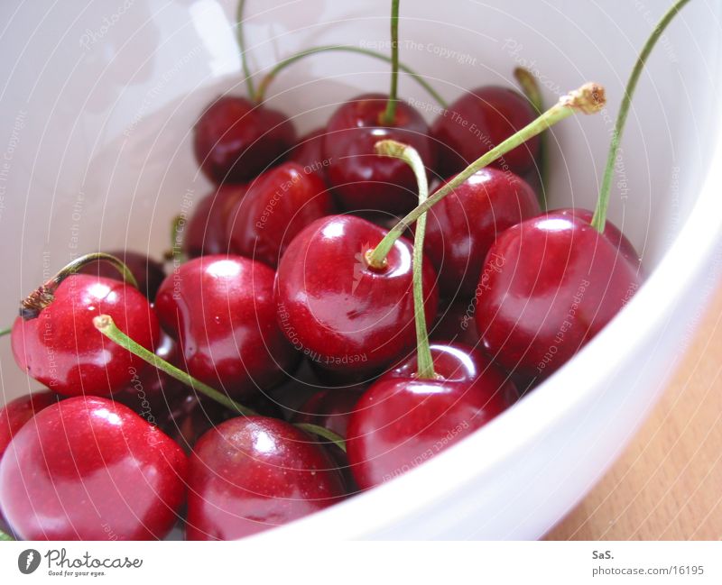 gut Kirschen essen rot knackig fruchtig Stengel lecker rund Makroaufnahme Nahaufnahme Frucht Cherry Ernte Vegetarische Ernährung Schalen & Schüsseln