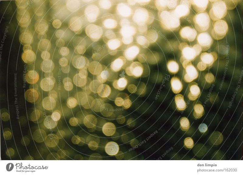 ganz genau unscharf Unschärfe Glas Licht Tür Regen gold schimmern Hintergrundbild Punkt Muster verteilt Wärme Himmelskörper & Weltall mehrfachbelichtung anna