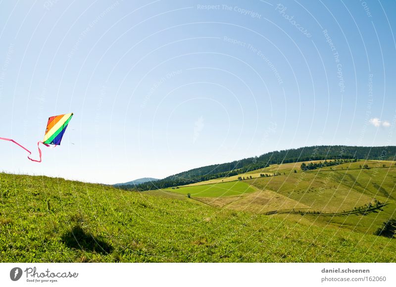 Schauinsland ohne Schnee Wind Lenkdrachen Kiting Farbe mehrfarbig Sommer Luftverkehr Wetter Licht Himmel blau Frühling Spielen