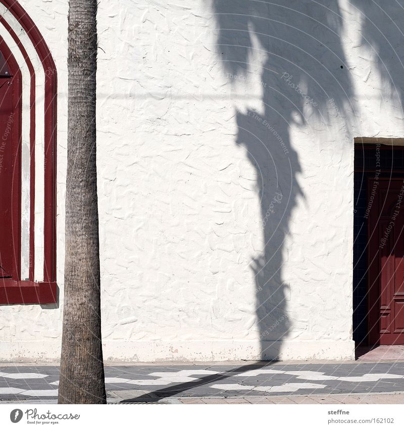 unter palmen Palme Schatten Wand rot weiß Sonne Tür Putz heiß Ferien & Urlaub & Reisen Spanien Spanisch Florida Tampa USA Detailaufnahme Sommer Ybor