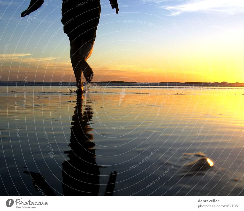 Der Sonne entgegen Sonnenaufgang Meer Wasser Strand laufen Spiegel Reflexion & Spiegelung Horizont Wolken Muschel blau gelb Schatten Küste