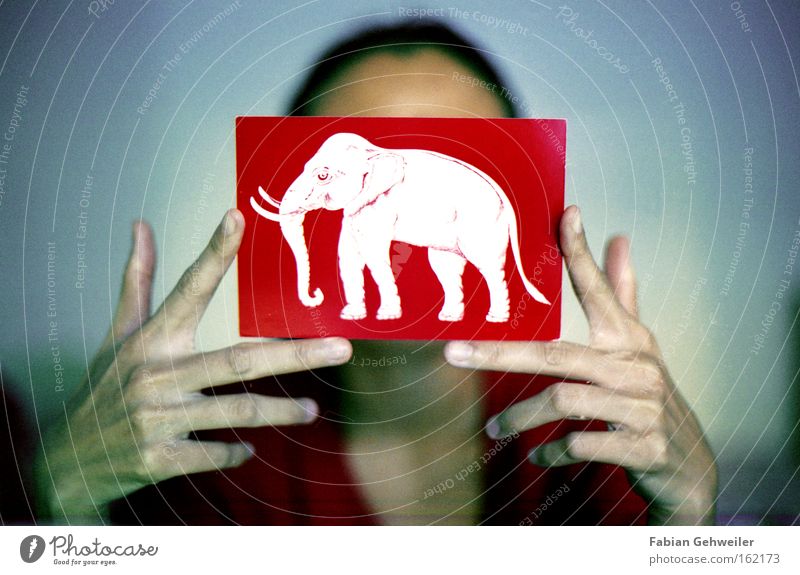 siam Thailand Nationalflagge alt Postkarte Elefant rot weiß Hand Asien